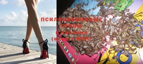 крисы Алзамай