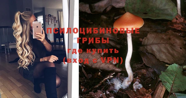 соль курить ск Алексин