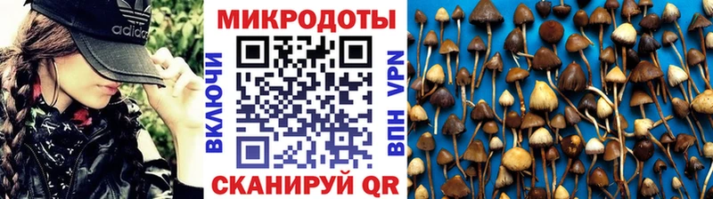 Псилоцибиновые грибы мицелий  omg рабочий сайт  Бирюч 